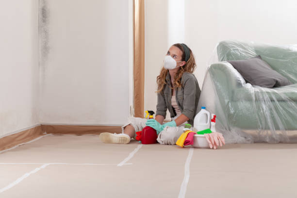 Reliable Mold Testing contractor in Indian Head, MD by WQB Mold Removal